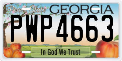 GA license plate PWP4663