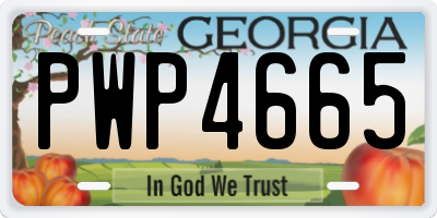 GA license plate PWP4665