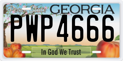 GA license plate PWP4666