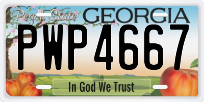 GA license plate PWP4667