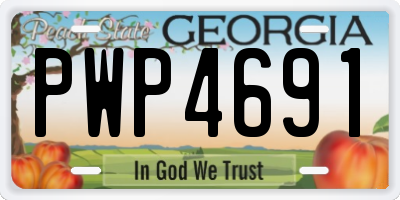 GA license plate PWP4691