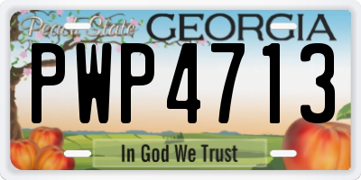 GA license plate PWP4713