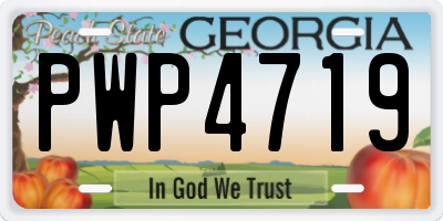 GA license plate PWP4719