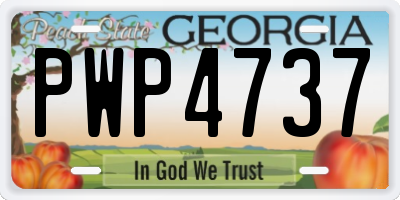 GA license plate PWP4737