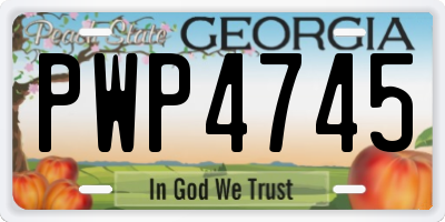GA license plate PWP4745