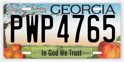 GA license plate PWP4765
