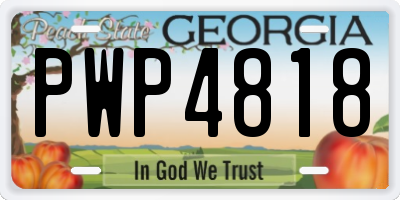 GA license plate PWP4818