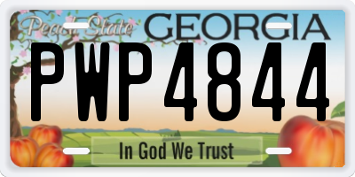 GA license plate PWP4844
