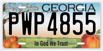 GA license plate PWP4855