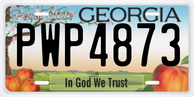 GA license plate PWP4873