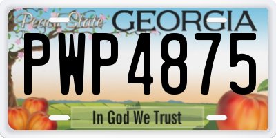 GA license plate PWP4875