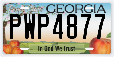 GA license plate PWP4877