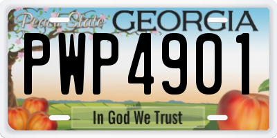 GA license plate PWP4901