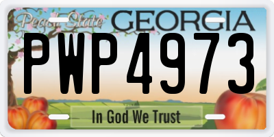 GA license plate PWP4973