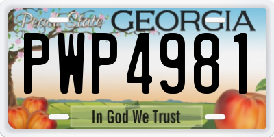 GA license plate PWP4981
