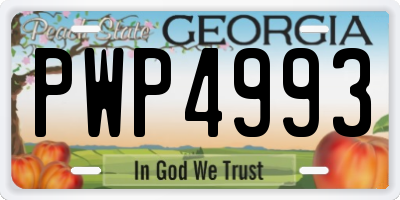 GA license plate PWP4993