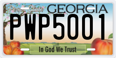 GA license plate PWP5001