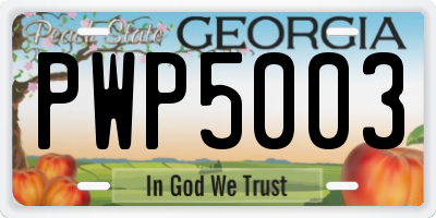 GA license plate PWP5003