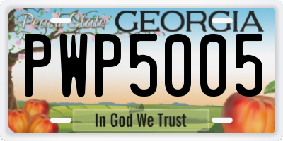 GA license plate PWP5005