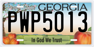 GA license plate PWP5013