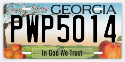 GA license plate PWP5014