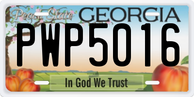 GA license plate PWP5016