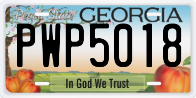 GA license plate PWP5018