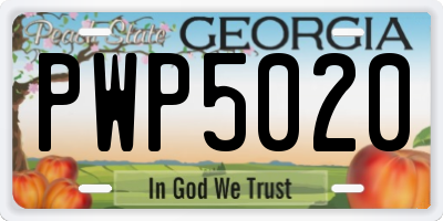GA license plate PWP5020