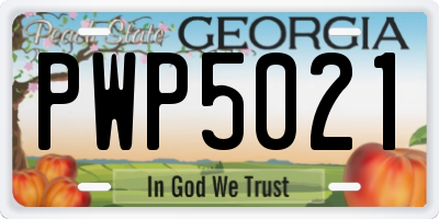 GA license plate PWP5021