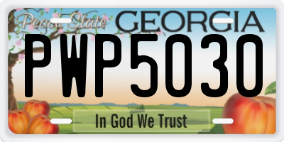 GA license plate PWP5030