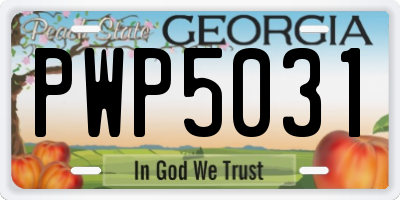 GA license plate PWP5031