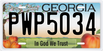 GA license plate PWP5034