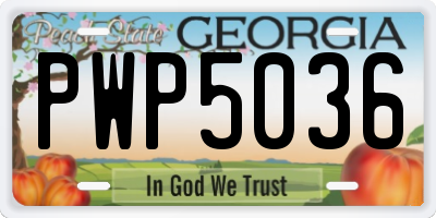 GA license plate PWP5036