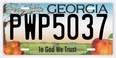 GA license plate PWP5037