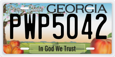 GA license plate PWP5042