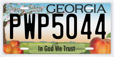 GA license plate PWP5044