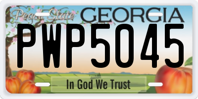 GA license plate PWP5045