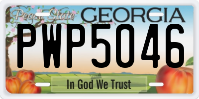 GA license plate PWP5046