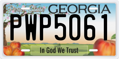 GA license plate PWP5061