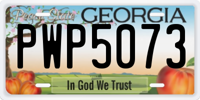 GA license plate PWP5073