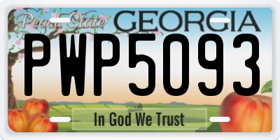 GA license plate PWP5093