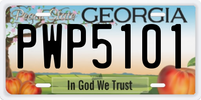 GA license plate PWP5101