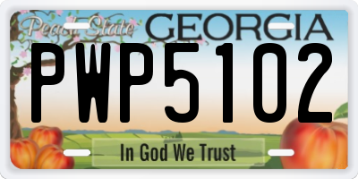 GA license plate PWP5102