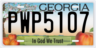 GA license plate PWP5107