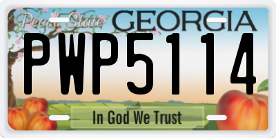GA license plate PWP5114