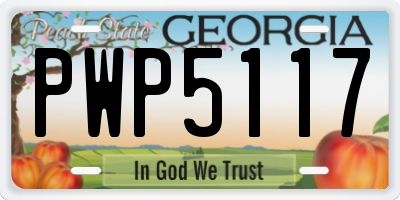 GA license plate PWP5117