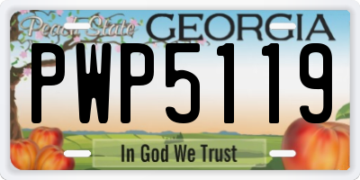 GA license plate PWP5119