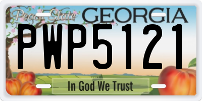 GA license plate PWP5121