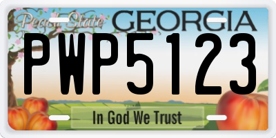 GA license plate PWP5123