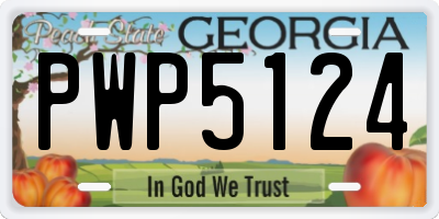 GA license plate PWP5124
